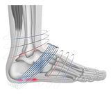 Compression stockings PF8 for plantar fasciitis and heel spurs