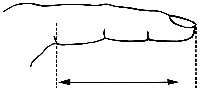 Fingerbandage - Fingerschiene_size-guide