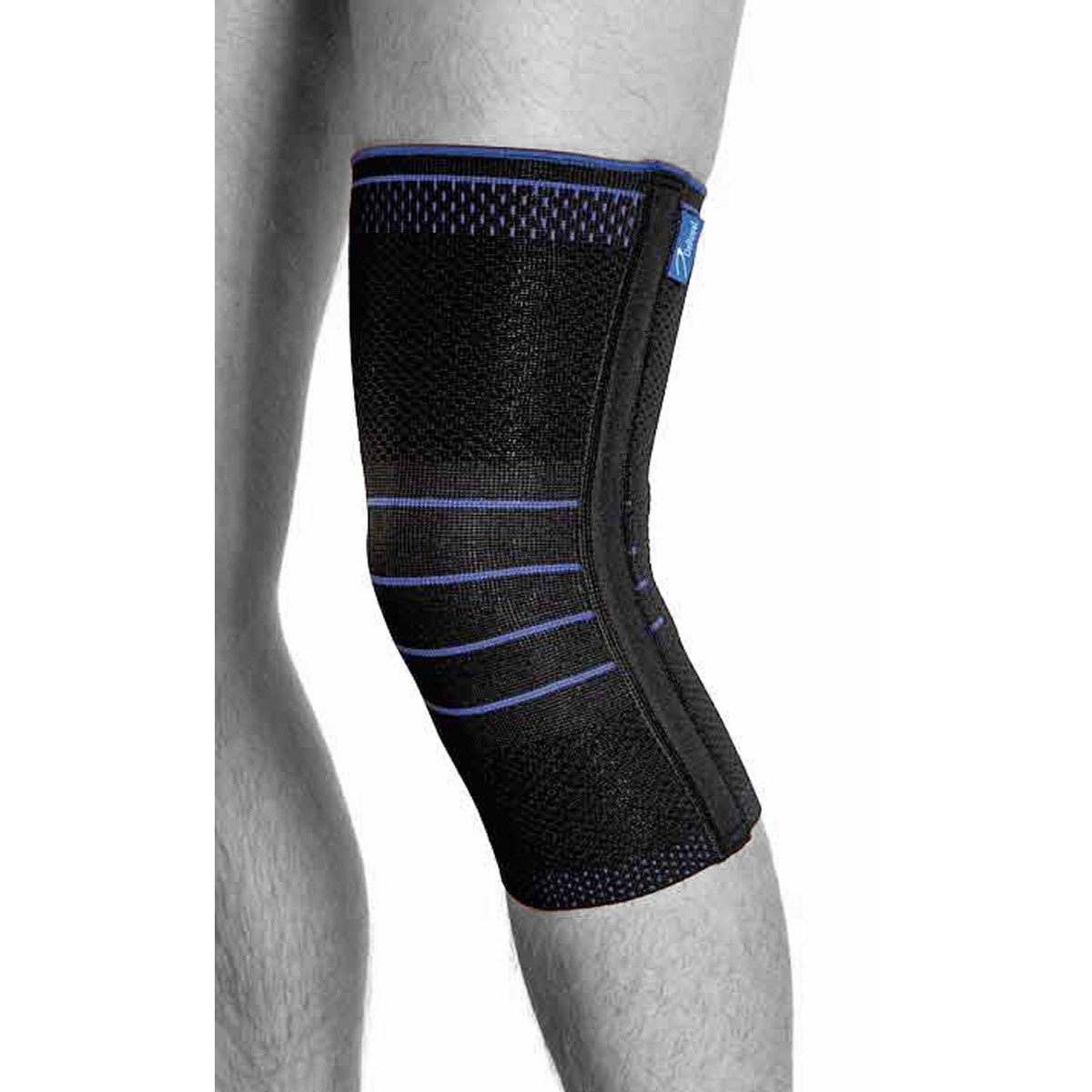 CRX Basic-Knie